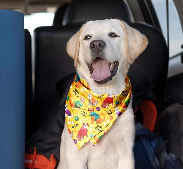 dog bandana mockup free